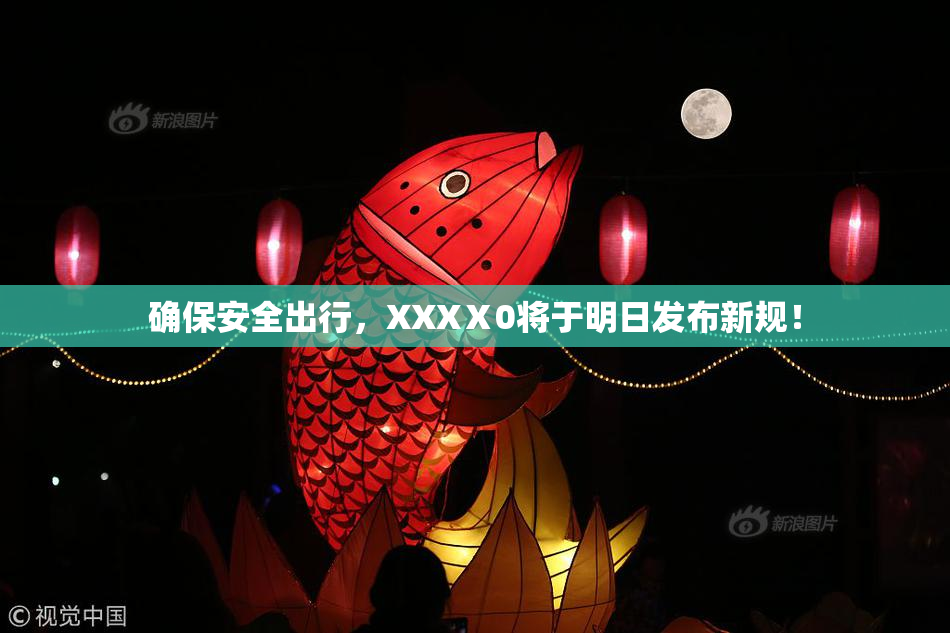 确保安全出行，XXXⅩ0将于明日发布新规！