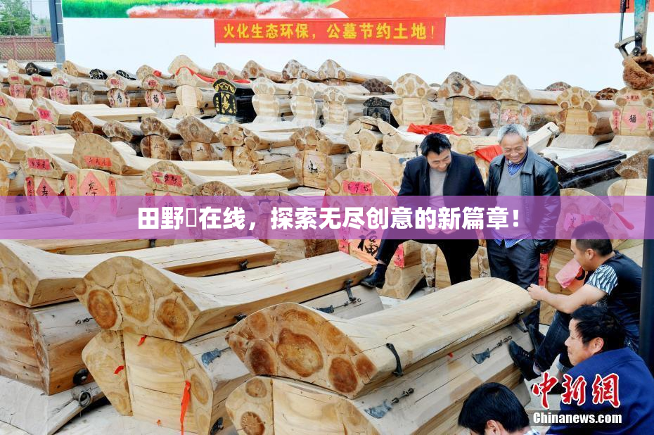 田野憂在线，探索无尽创意的新篇章！