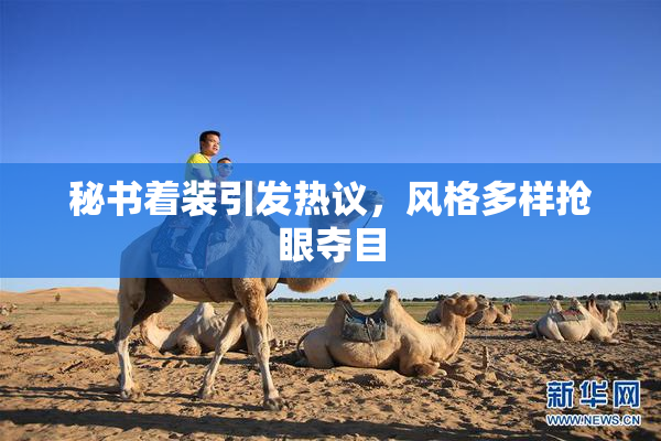 秘书着装引发热议，风格多样抢眼夺目