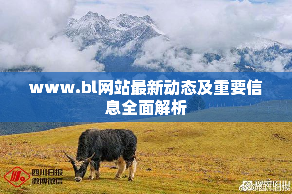 www.bl网站最新动态及重要信息全面解析
