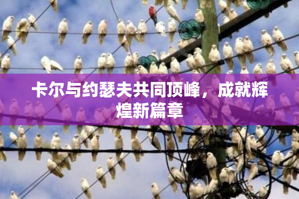 卡尔与约瑟夫共同顶峰，成就辉煌新篇章