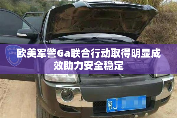 欧美军警Ga联合行动取得明显成效助力安全稳定