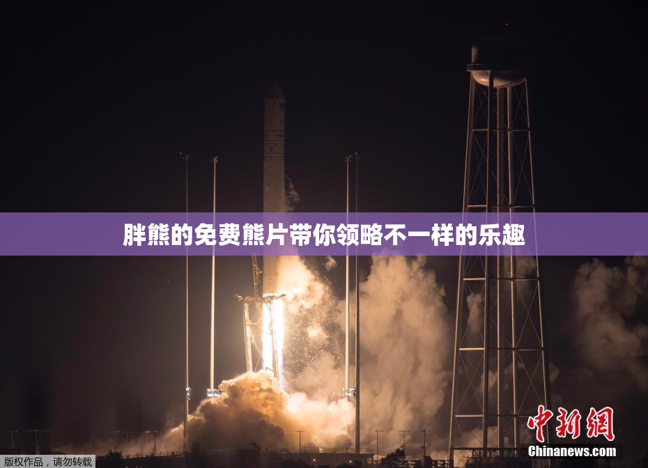 胖熊的免费熊片带你领略不一样的乐趣