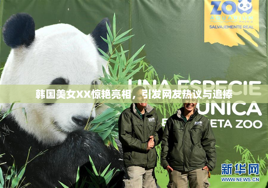 韩国美女XX惊艳亮相，引发网友热议与追捧