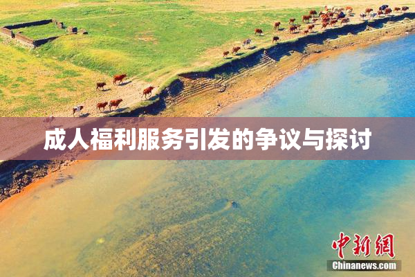 成人福利服务引发的争议与探讨