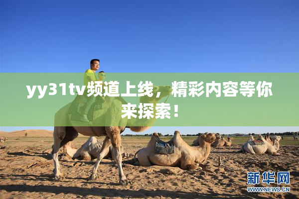 yy31tv频道上线，精彩内容等你来探索！