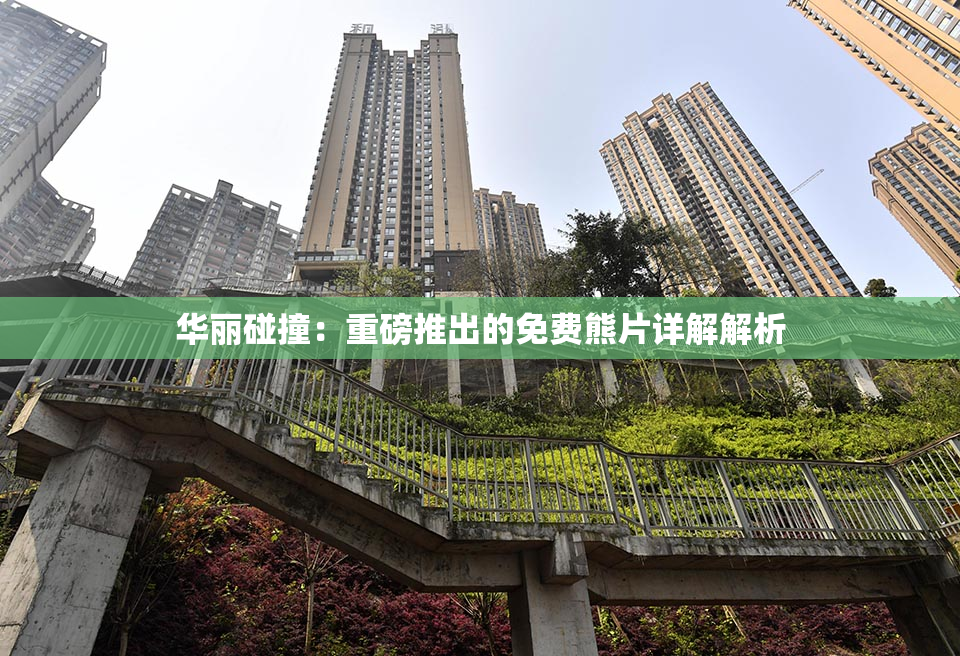 华丽碰撞：重磅推出的免费熊片详解解析