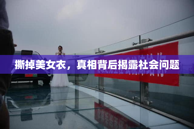 撕掉美女衣，真相背后揭露社会问题