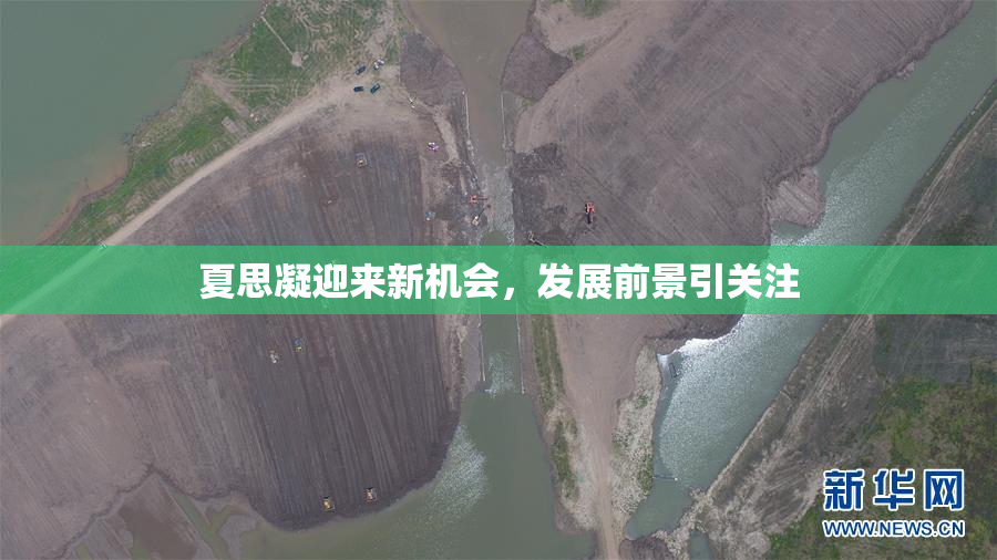 夏思凝迎来新机会，发展前景引关注