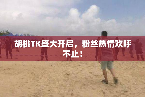 胡桃TK盛大开启，粉丝热情欢呼不止！