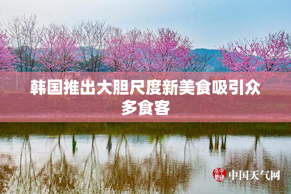韩国推出大胆尺度新美食吸引众多食客