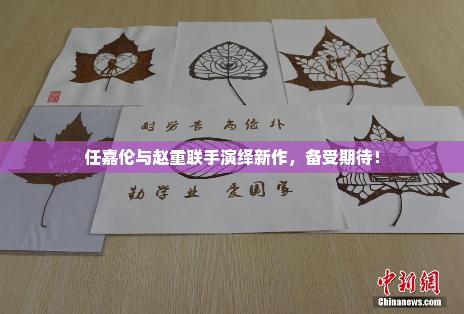 任嘉伦与赵重联手演绎新作，备受期待！