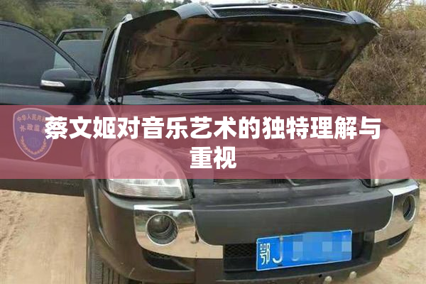 蔡文姬对音乐艺术的独特理解与重视