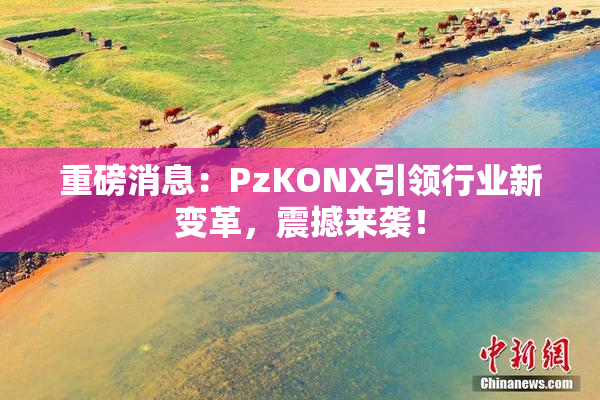 重磅消息：PzKONX引领行业新变革，震撼来袭！