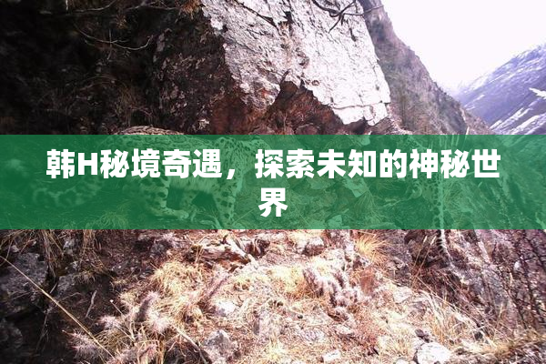 韩H秘境奇遇，探索未知的神秘世界