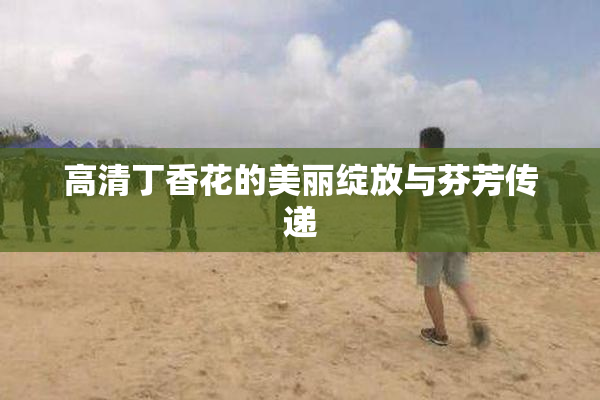 高清丁香花的美丽绽放与芬芳传递