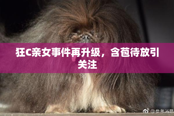 狂C亲女事件再升级，含苞待放引关注