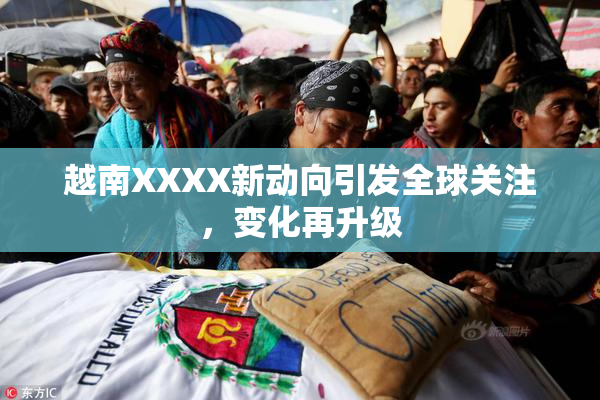 越南XXXX新动向引发全球关注，变化再升级