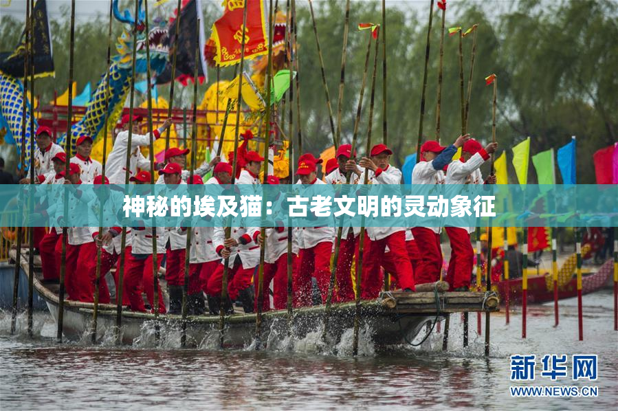神秘的埃及猫：古老文明的灵动象征