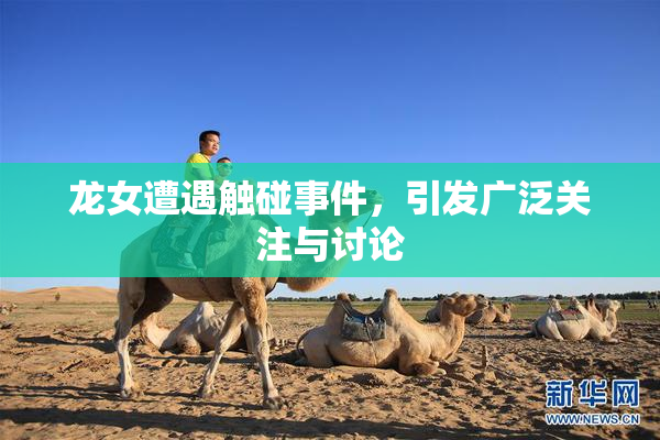 龙女遭遇触碰事件，引发广泛关注与讨论