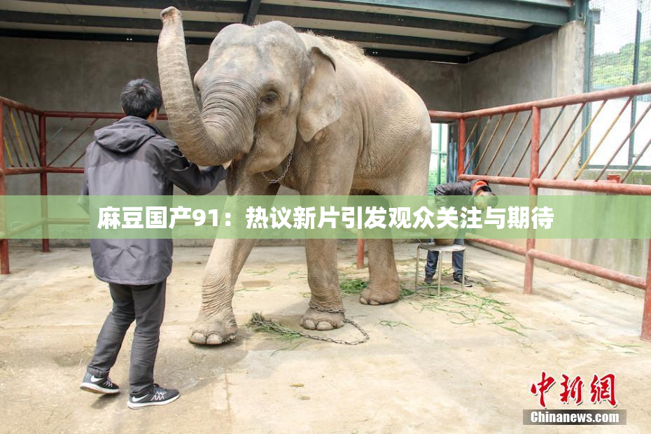 麻豆国产91：热议新片引发观众关注与期待