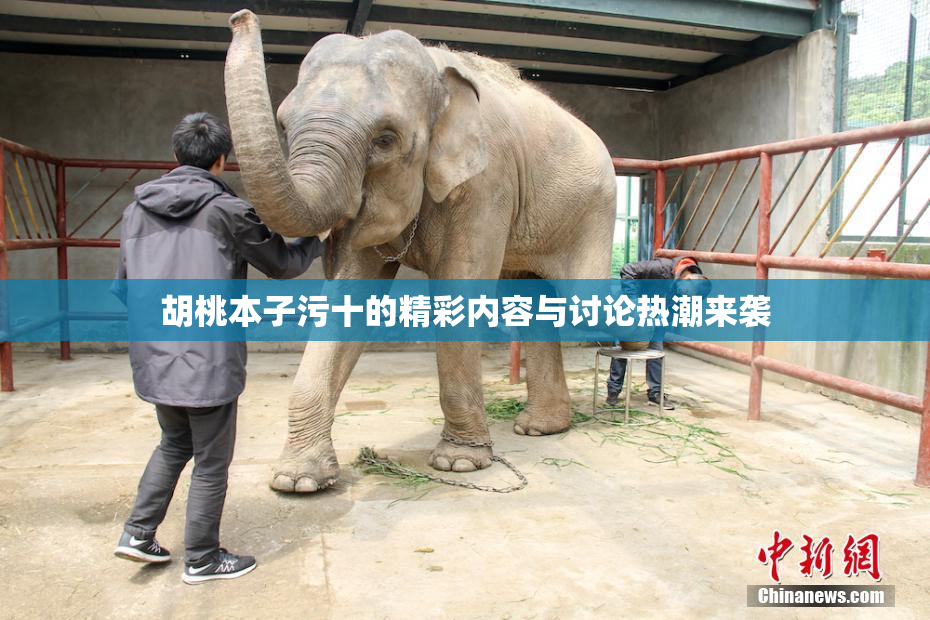 胡桃本子污十的精彩内容与讨论热潮来袭