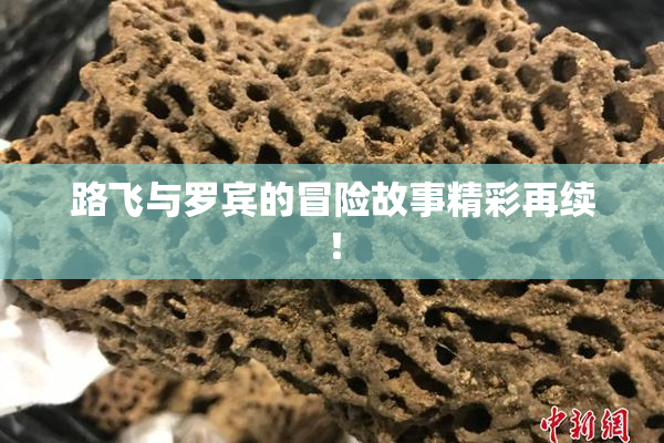 路飞与罗宾的冒险故事精彩再续！