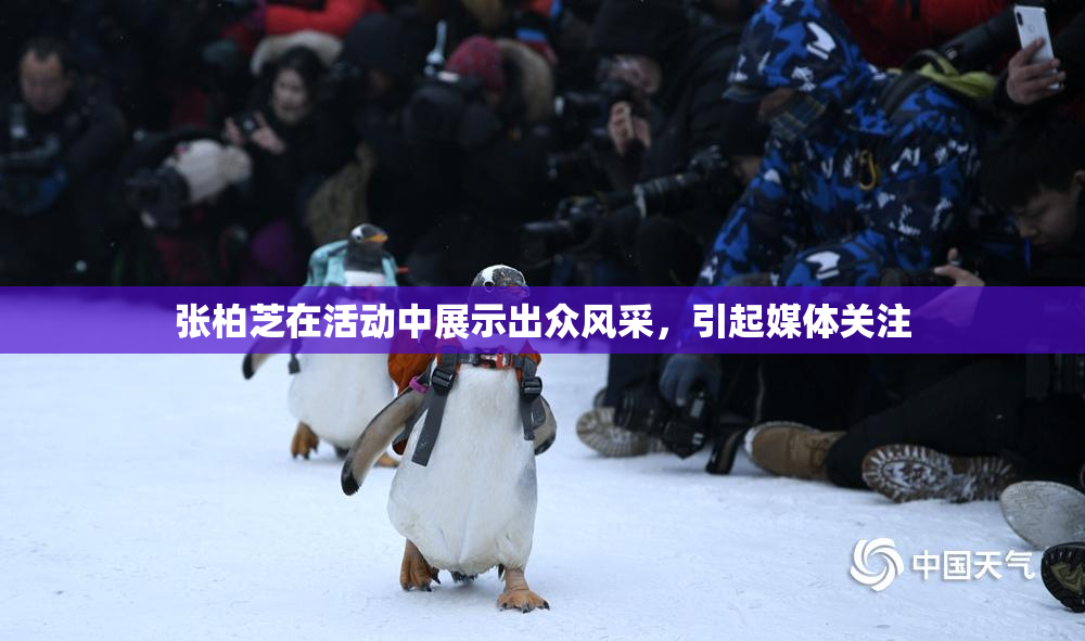 张柏芝在活动中展示出众风采，引起媒体关注