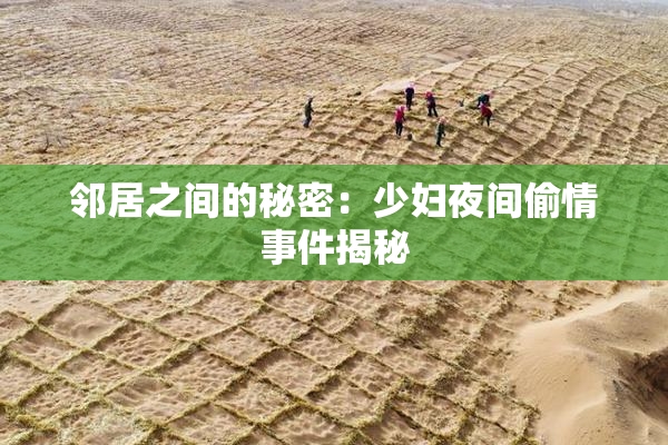 邻居之间的秘密：少妇夜间偷情事件揭秘