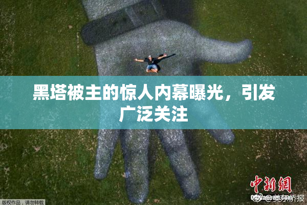 黑塔被主的惊人内幕曝光，引发广泛关注