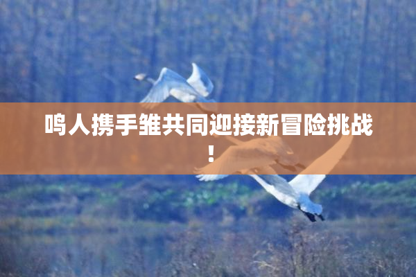 鸣人携手雏共同迎接新冒险挑战！