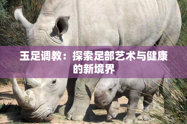 玉足调教：探索足部艺术与健康的新境界
