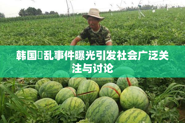韩国婬乱事件曝光引发社会广泛关注与讨论