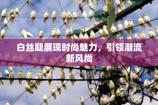 白丝腿展现时尚魅力，引领潮流新风尚