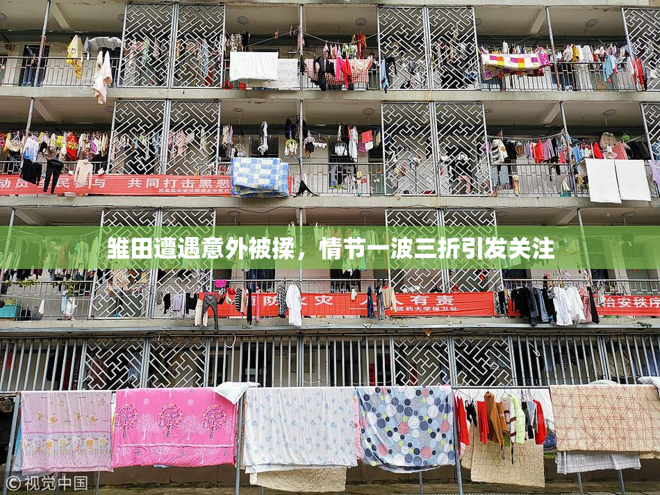 雏田遭遇意外被揉，情节一波三折引发关注