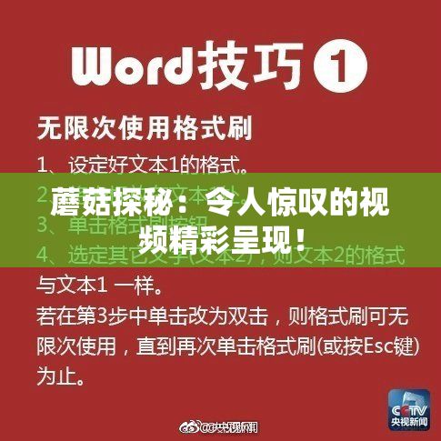 蘑菇探秘：令人惊叹的视频精彩呈现！