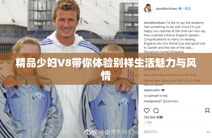 精品少妇V8带你体验别样生活魅力与风情