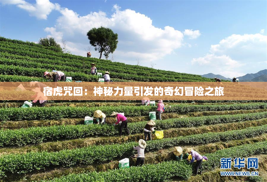 宿虎咒回：神秘力量引发的奇幻冒险之旅