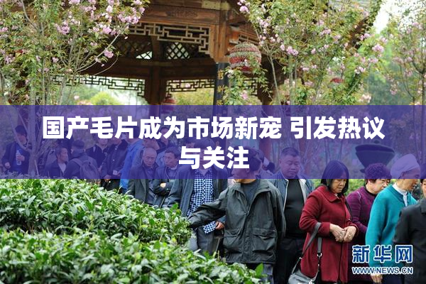 国产毛片成为市场新宠 引发热议与关注