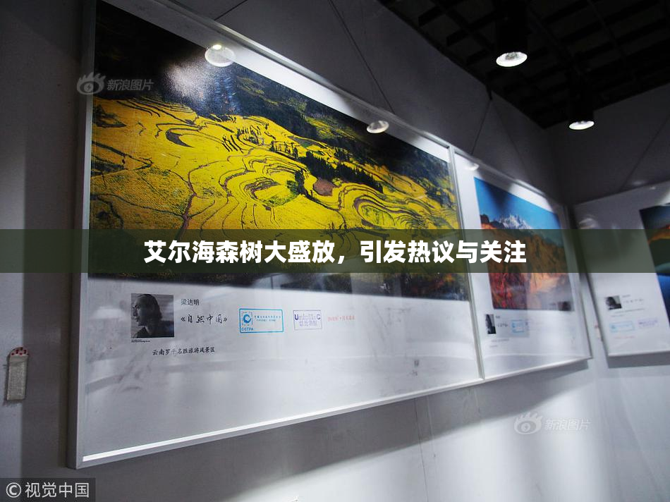 艾尔海森树大盛放，引发热议与关注