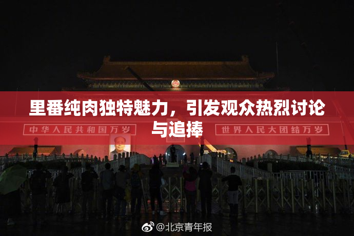 里番纯肉独特魅力，引发观众热烈讨论与追捧