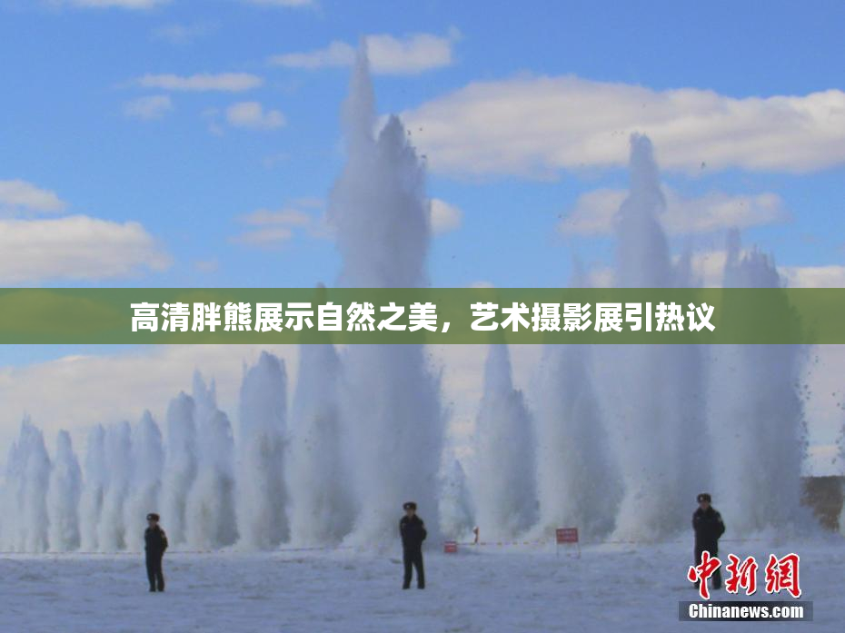 高清胖熊展示自然之美，艺术摄影展引热议