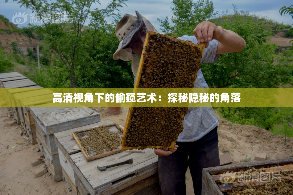 高清视角下的偷窥艺术：探秘隐秘的角落