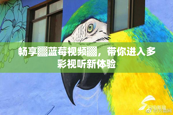畅享▓蓝莓视频▓，带你进入多彩视听新体验