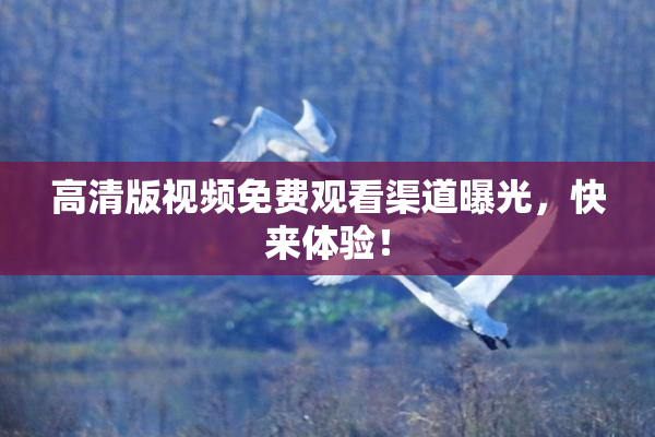 高清版视频免费观看渠道曝光，快来体验！