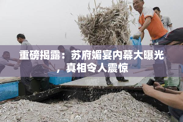 重磅揭露：苏府媚宴内幕大曝光，真相令人震惊