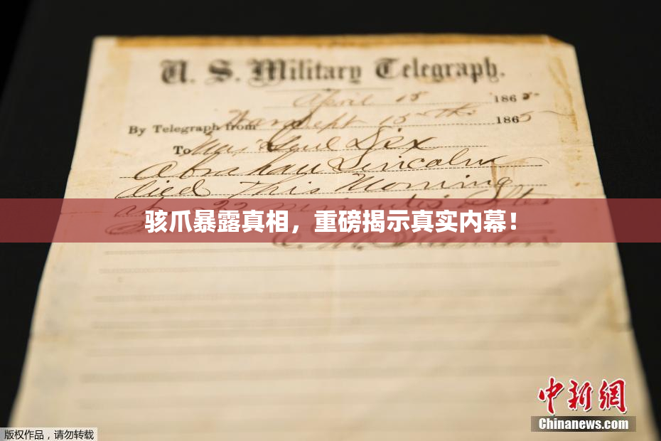 骇爪暴露真相，重磅揭示真实内幕！
