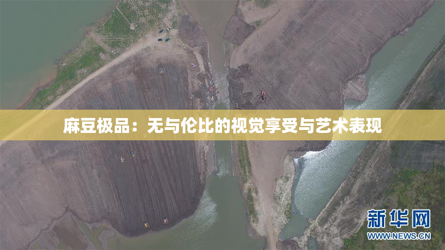 麻豆极品：无与伦比的视觉享受与艺术表现
