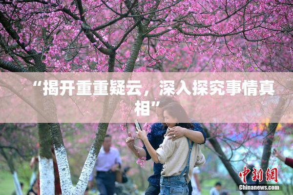 “揭开重重疑云，深入探究事情真相”
