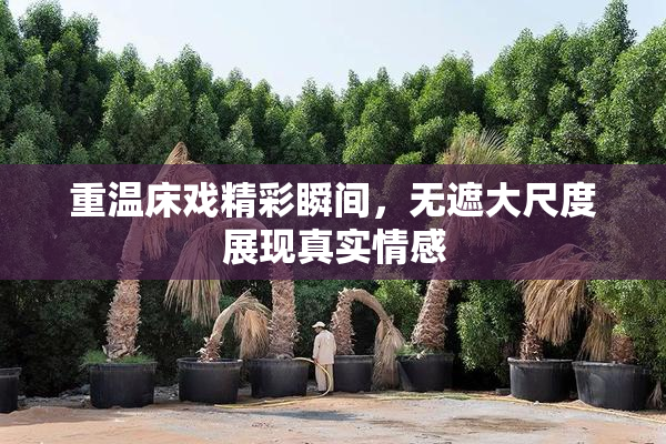 重温床戏精彩瞬间，无遮大尺度展现真实情感